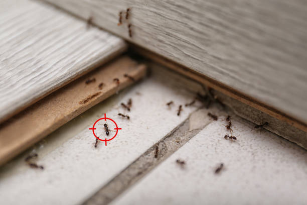 Best Pest Control Near Me in Pleasant Run, OH