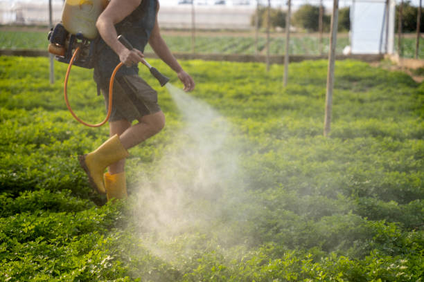 Best Pest Control Near Me in Pleasant Run, OH