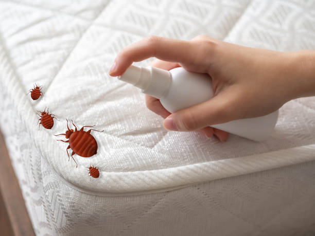 Best Mosquito Control Services  in Pleasant Run, OH