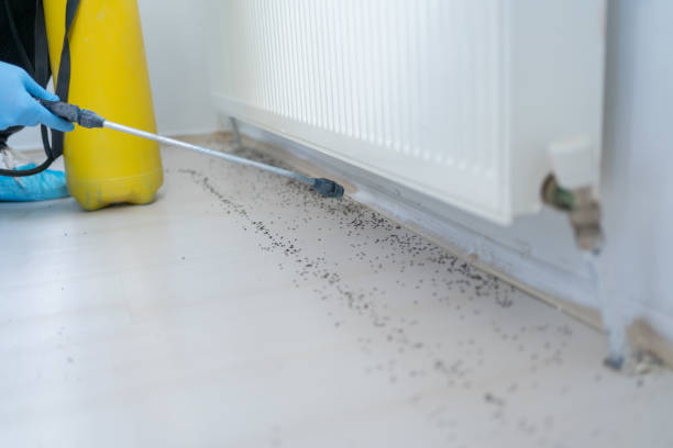 Best Exterminator Services  in Pleasant Run, OH