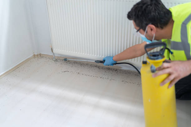 Best Pest Removal Services  in Pleasant Run, OH